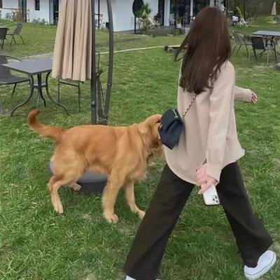地狱小丑