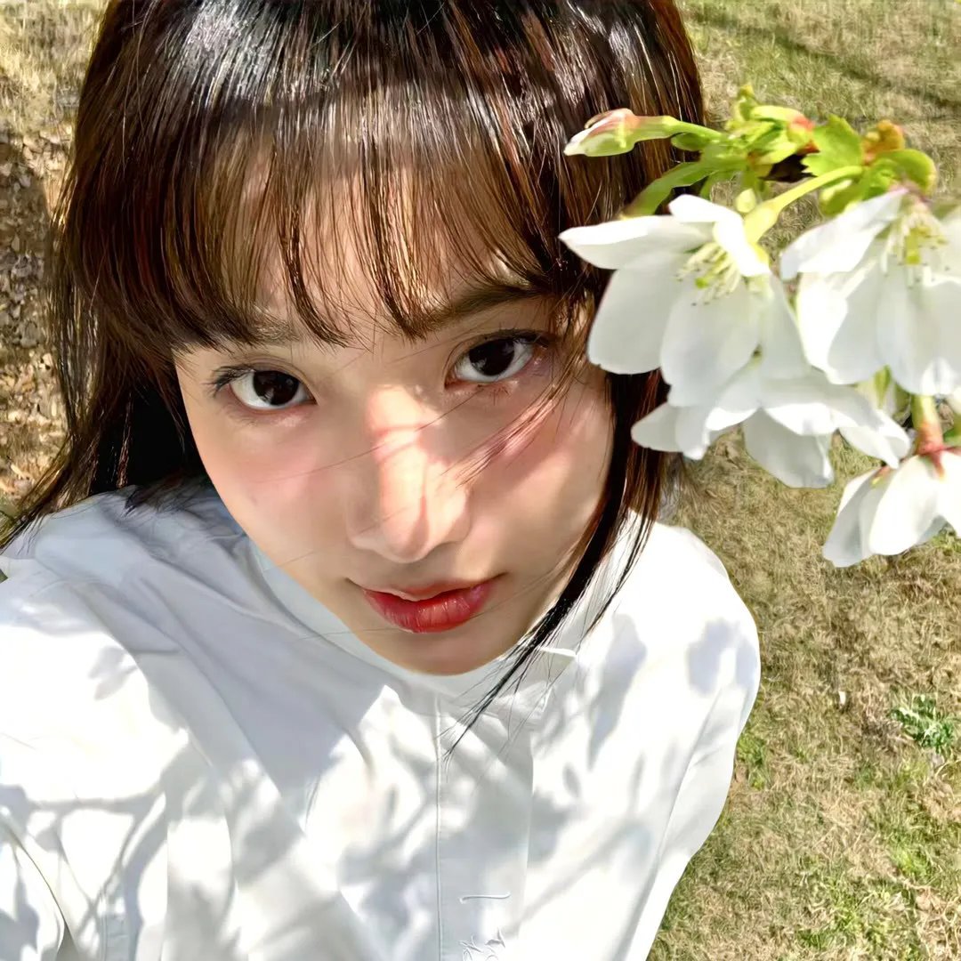 但愿人长久电影版